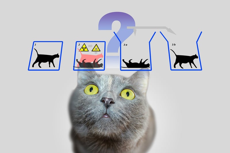 Quantum Abstract Physics